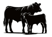 cows_home