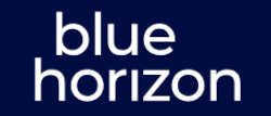 vvcf_bluehorizon